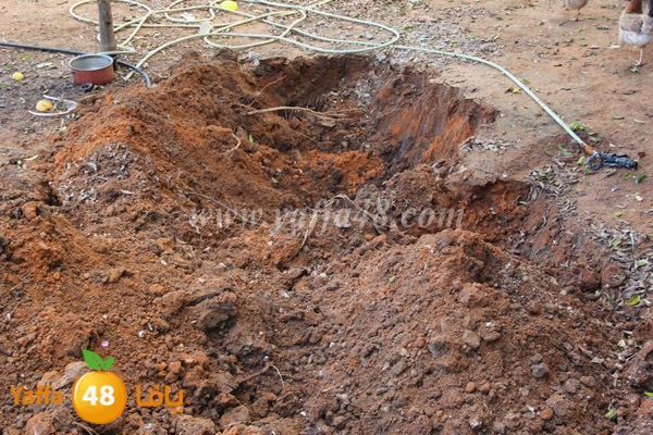 modahama lud 0216 (20).JPG